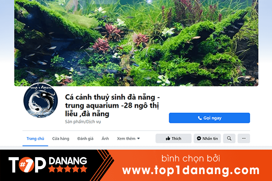Bán tép cảnh tại Đà Nẵng Cá Cảnh Thuỷ Sinh Đà Nẵng - Trung Aquarium