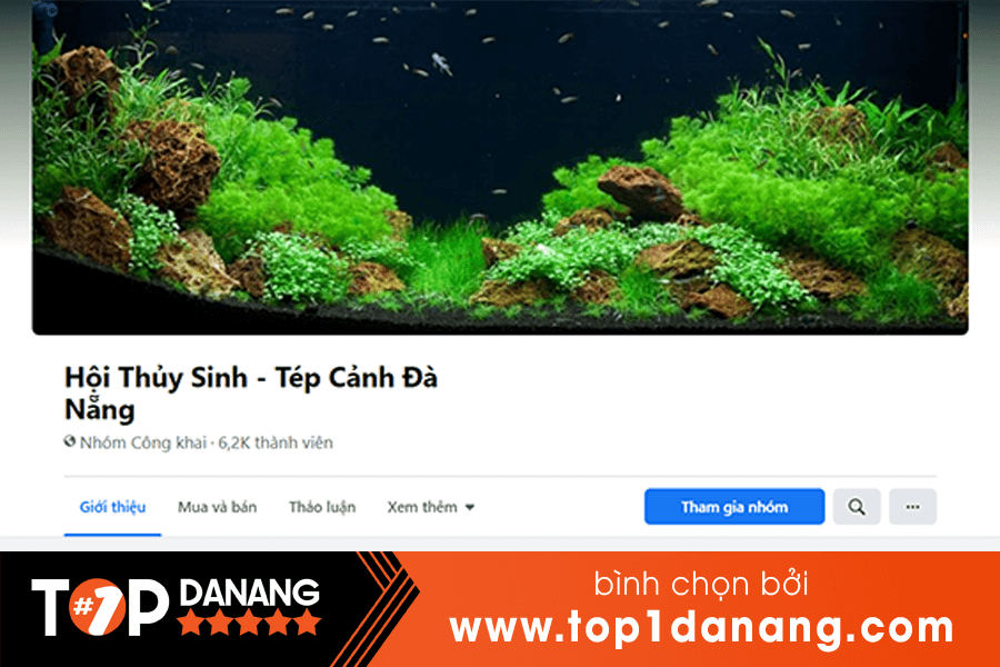 Bán tép cảnh tại Đà Nẵng Hội thủy sinh tép cảnh Đà Nẵng