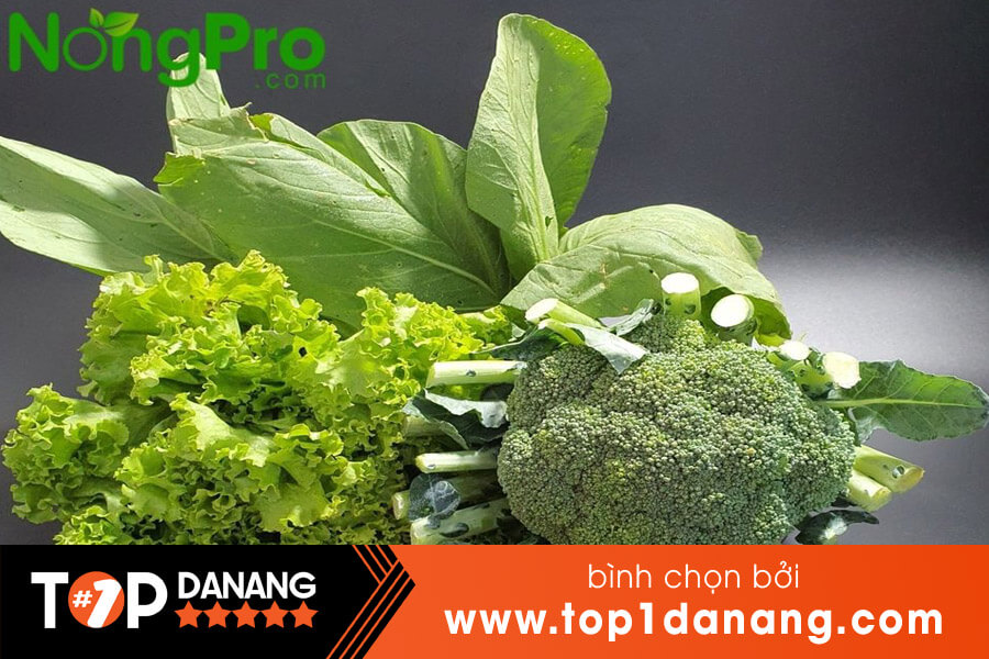 Rau sạch ở Đà Nẵng