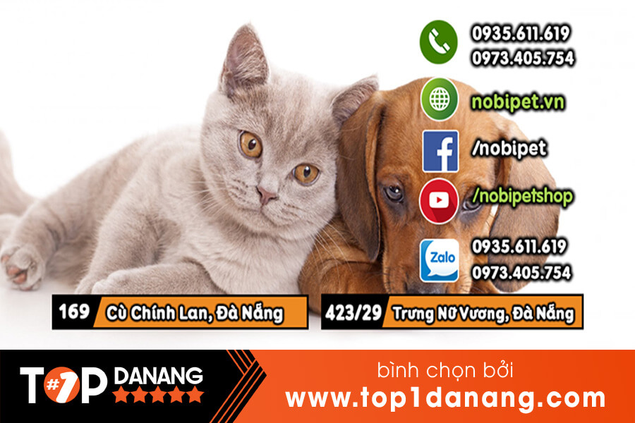 Shop bán mèo ở Đà Nẵng