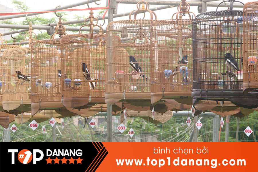 Shop chim cảnh Đà Nẵng