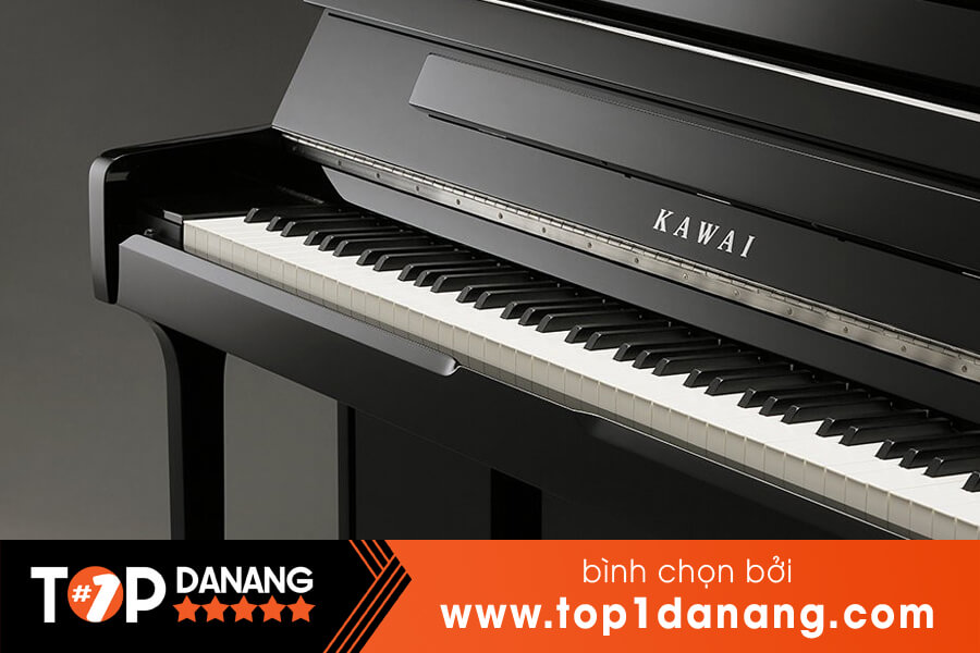 Thuê đàn piano ở Đà Nẵng chất lượng