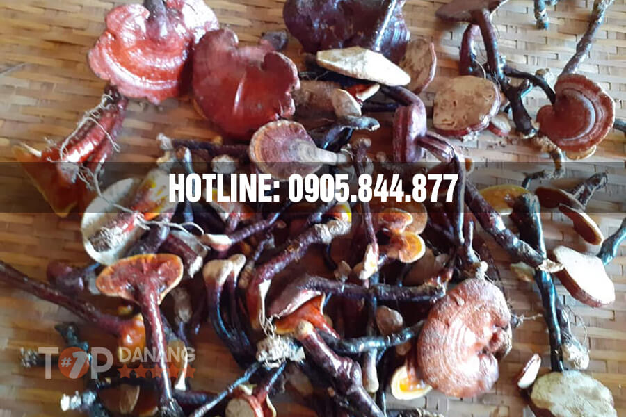 Bán nấm lim xanh tại Đà Nẵng