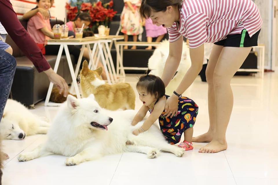 Cà Phê Thú Cưng Ritdo Đà Nẵng