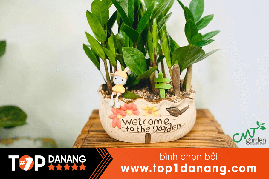 Cây để bàn làm việc - CMT Garden