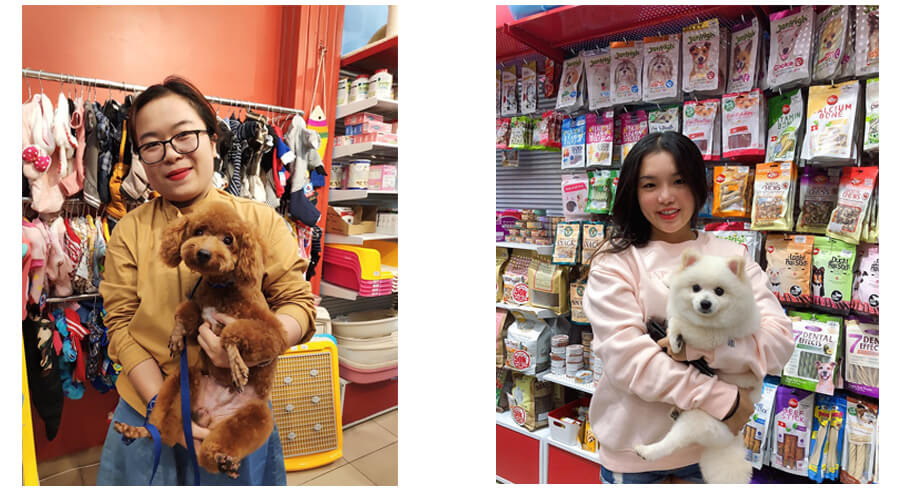 bác sĩ thú y Đà Nẵng