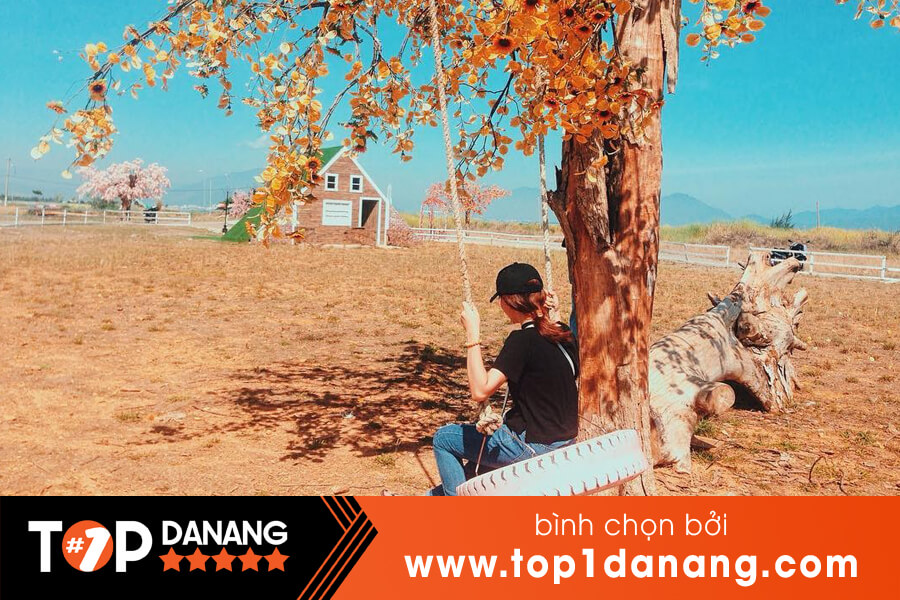 Đà Nẵng có gì vui chơi - Thuận Phước Field