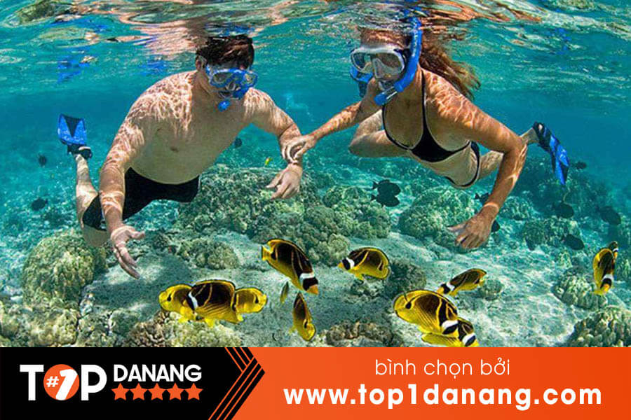 Giá lặn ngắm san hô biển Đà Nẵng