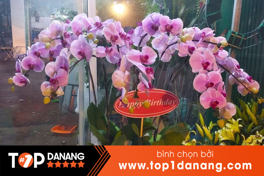 Hoa lan tại Đà Nẵng