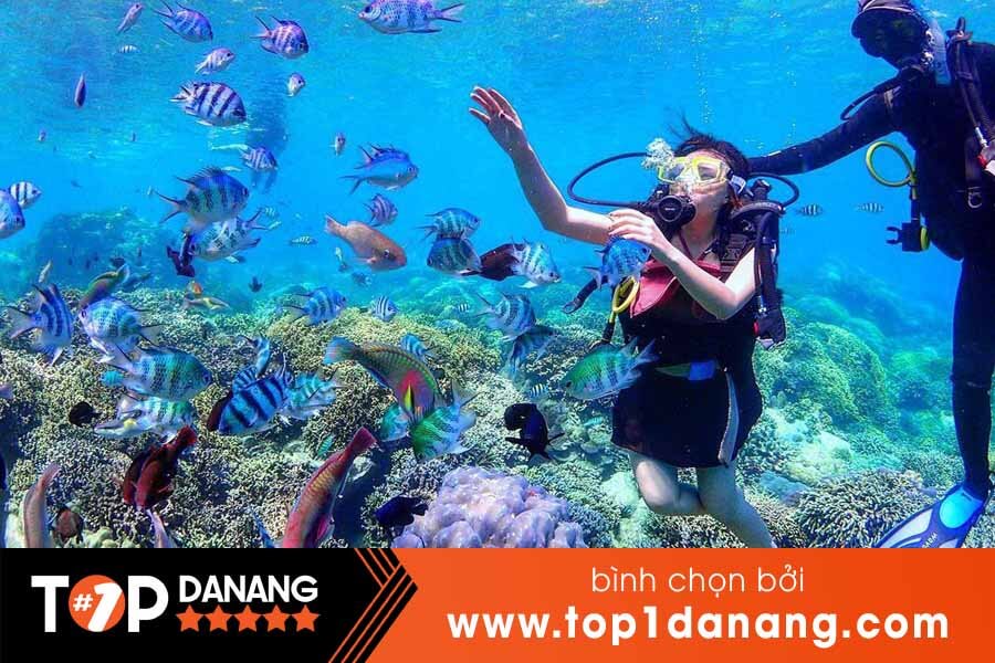 Kinh nghiệm lặn biển tại Đà Nẵng