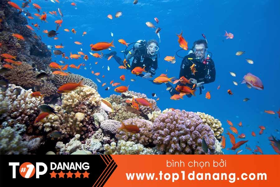 Lặn biển Đà Nẵng