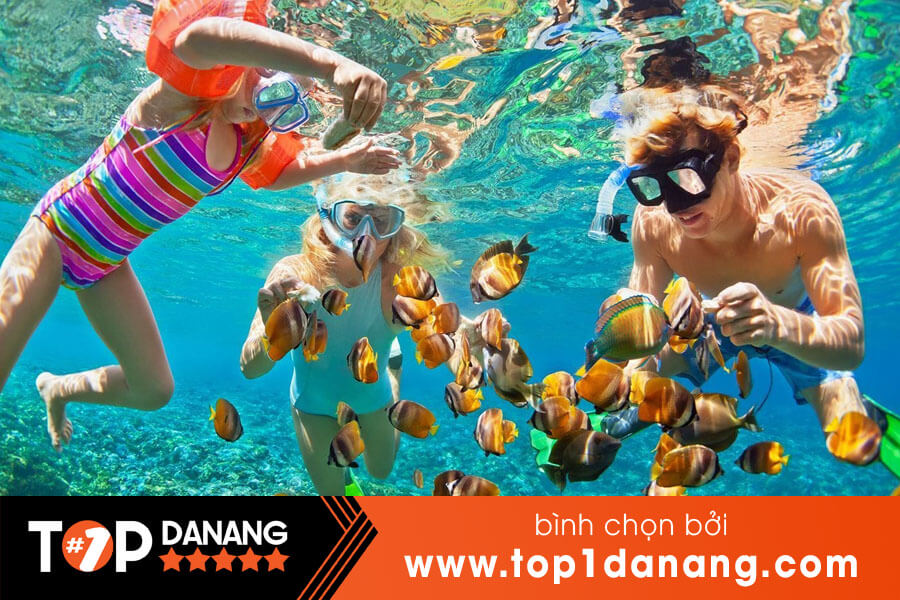 Lặn biển ngắm san hô ở Cù Lao Chàm