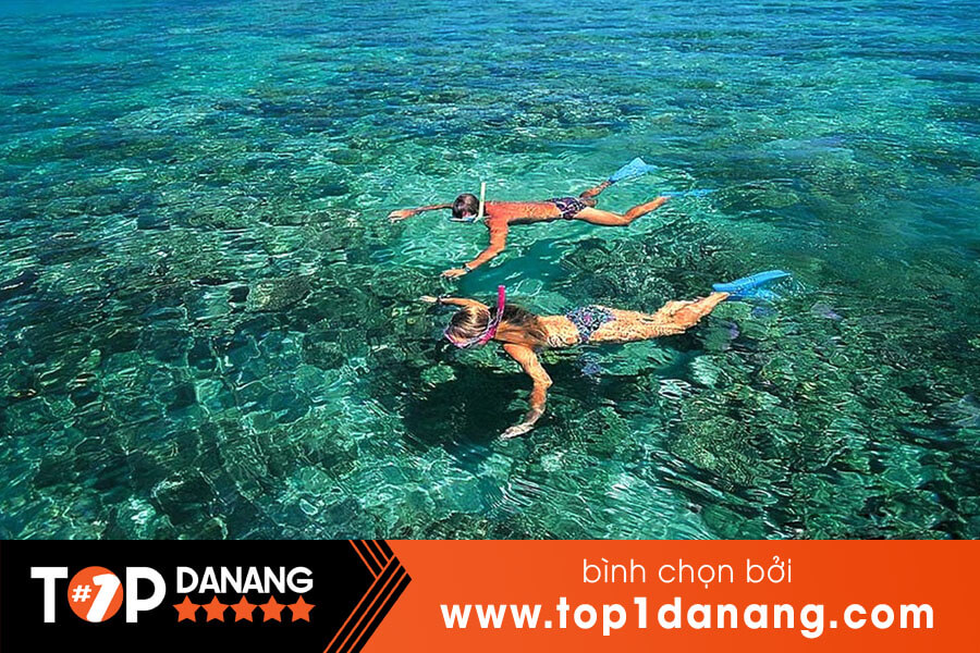 Lặn ngắm san hô Cù Lao Chàm