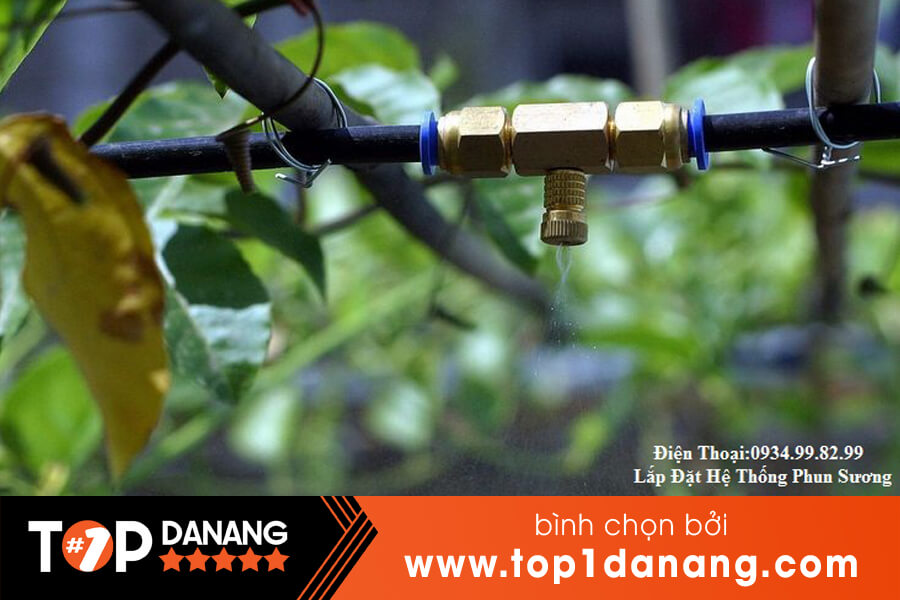 Lắp đặt máy phun sương ở Đà Nẵng