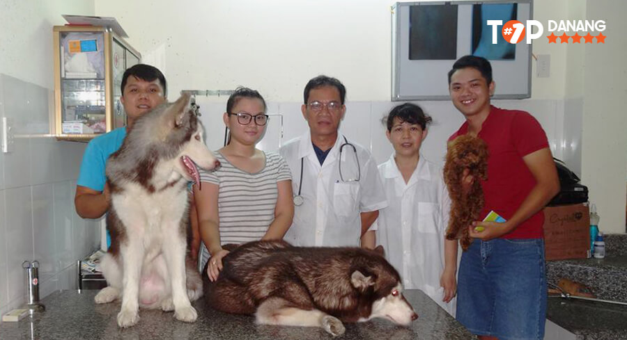 phòng khám thú y đà nẵng