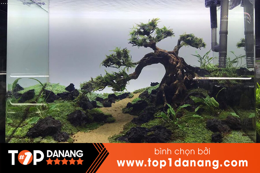 Shop phụ kiện hồ cá Đà Nẵng