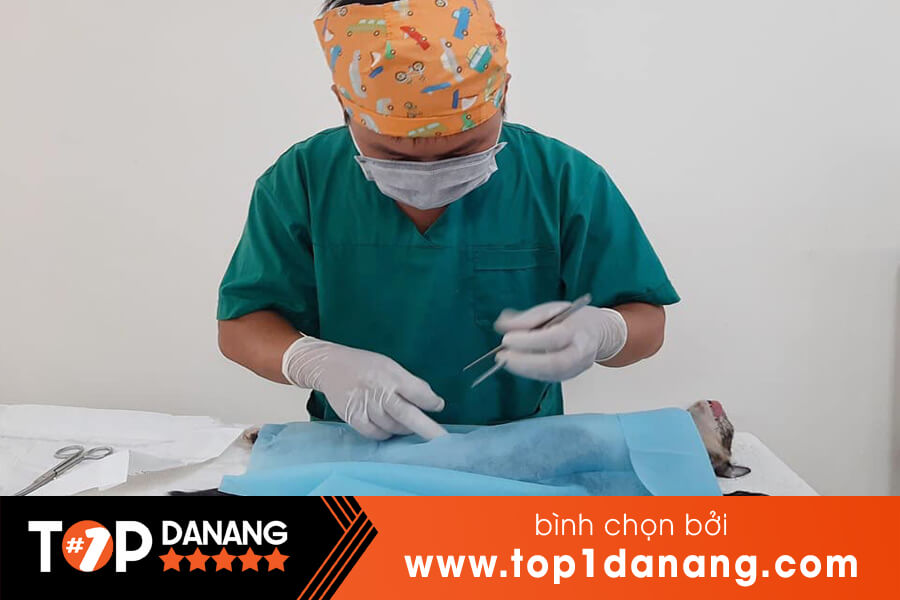 Phòng khám thú y Đà Nẵng