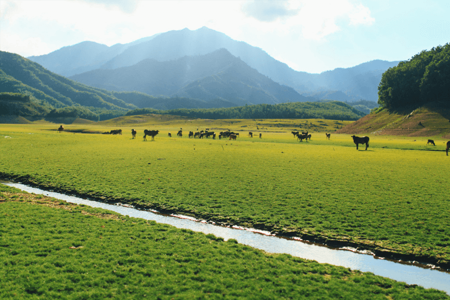 Hồ Hòa Trung Đà Nẵng lúc chiều tà