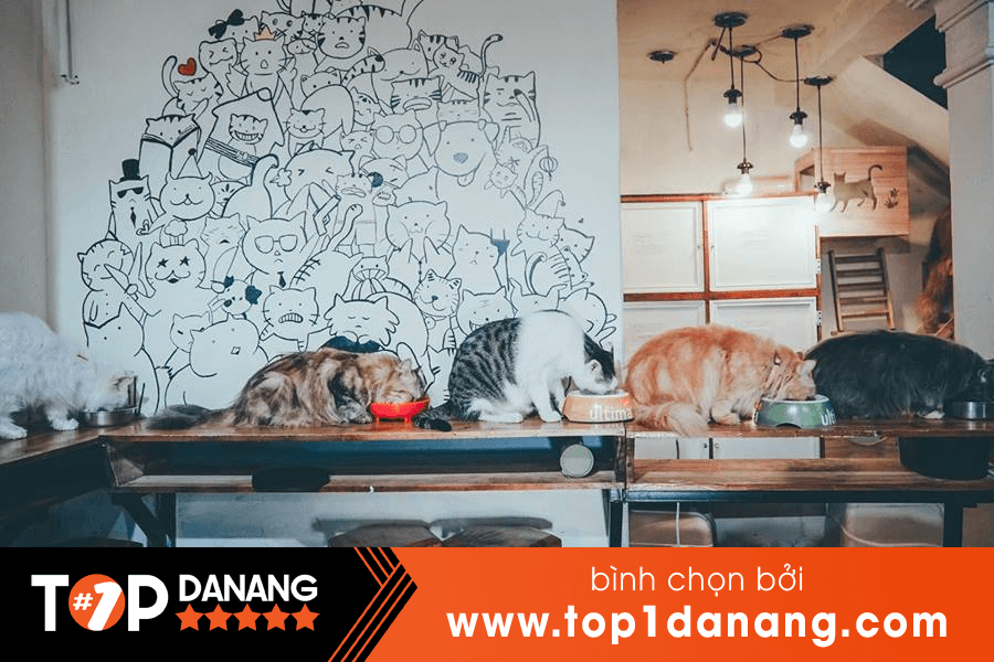 Quán cà phê thú cưng Nobipet Đà Nẵng