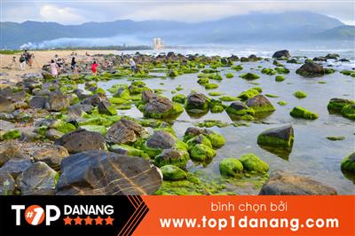 Rạn Nam Ô Đà Nẵng – Địa Điểm Du Lịch Mới Xứ Đà Thành